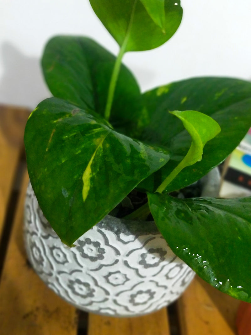 Test 1