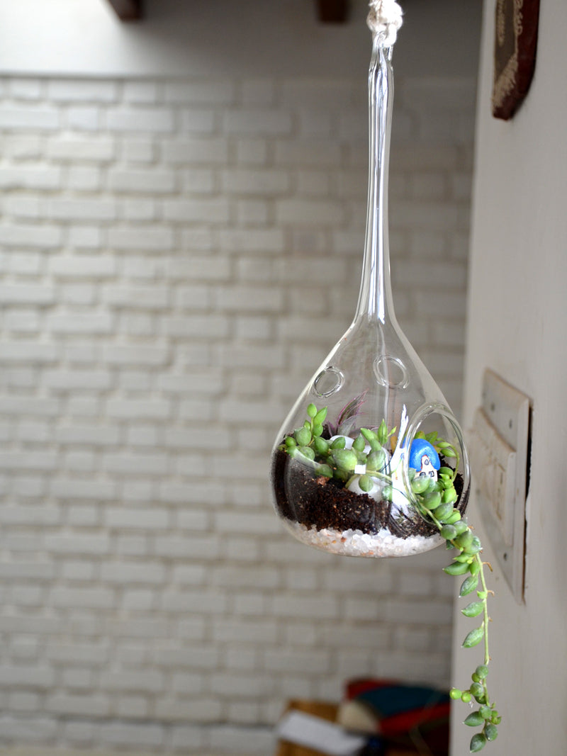 Hanging Orb Terrarium (Pear)