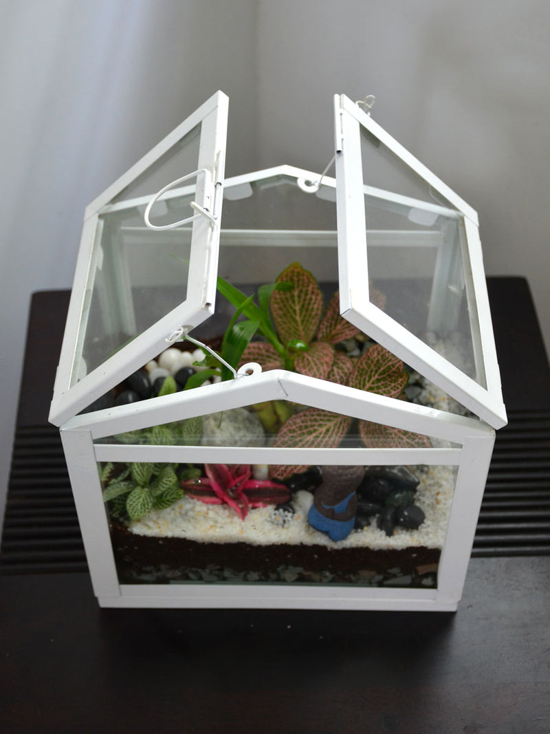 Mini Sun Room Terrarium