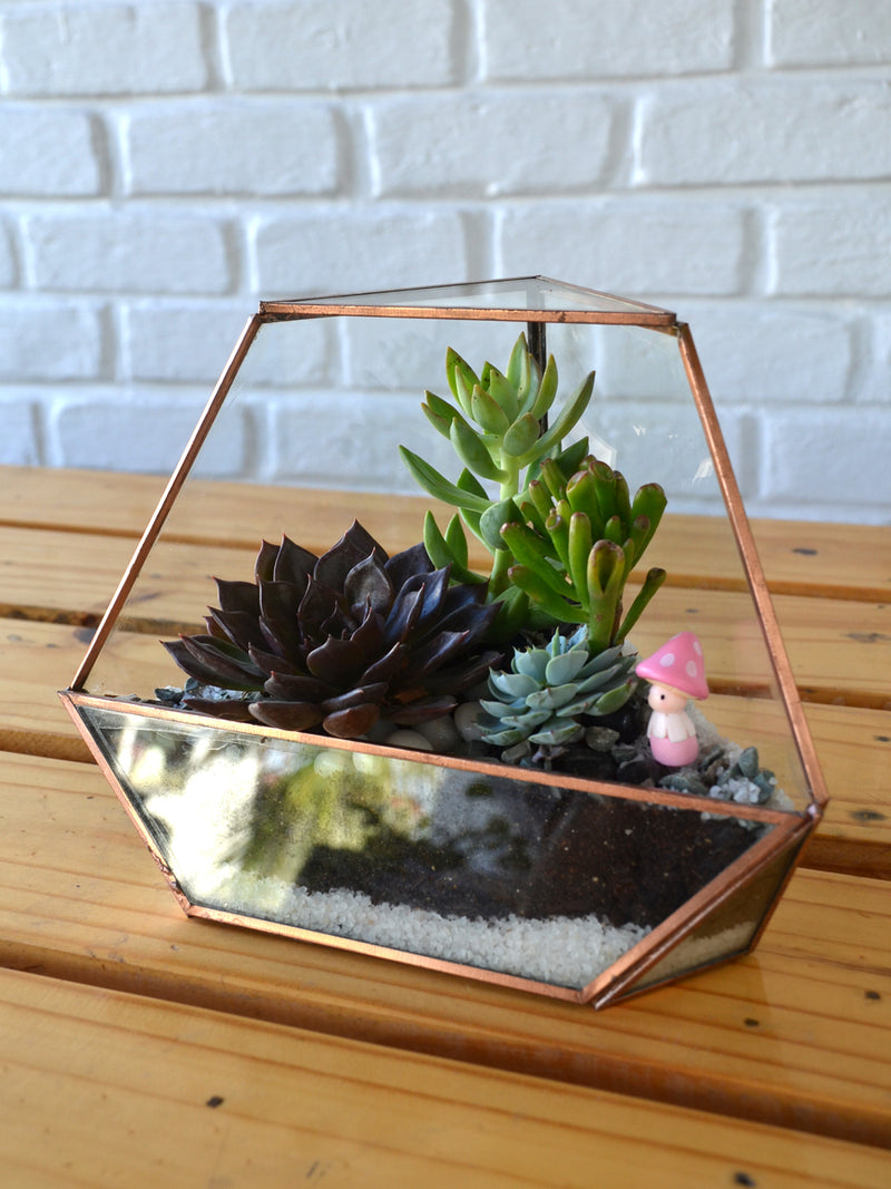 Superman Terrarium