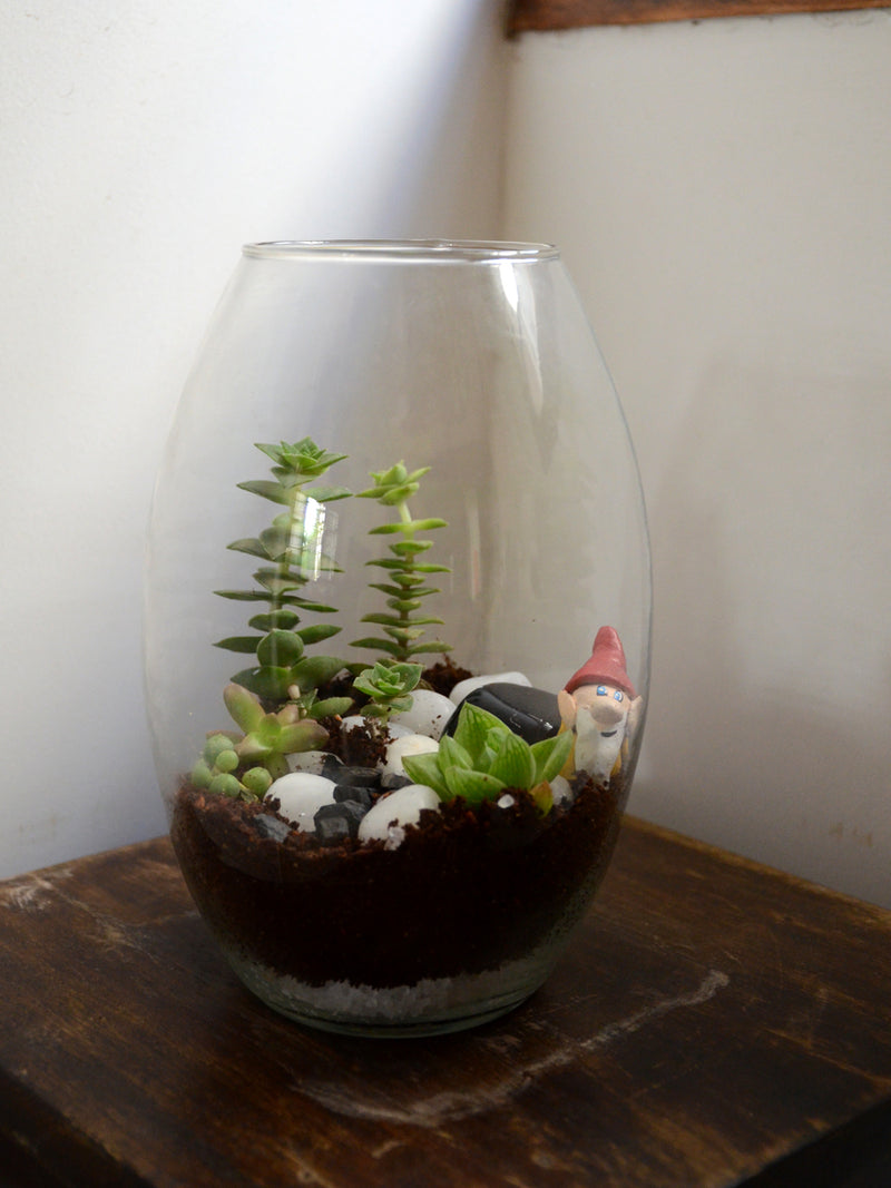Oblong Terrarium