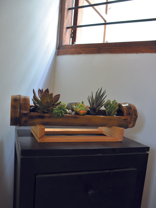 Table Top Bamboo Succulent Platter