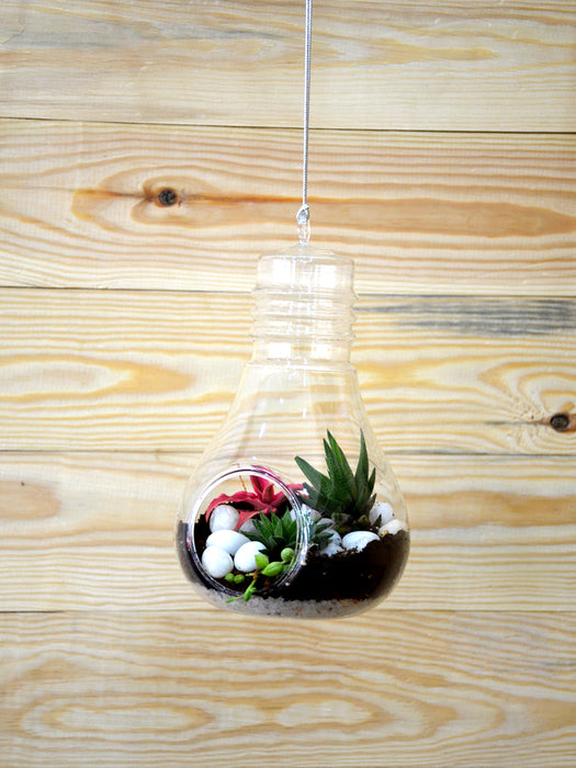 Hanging Bulb Terrarium