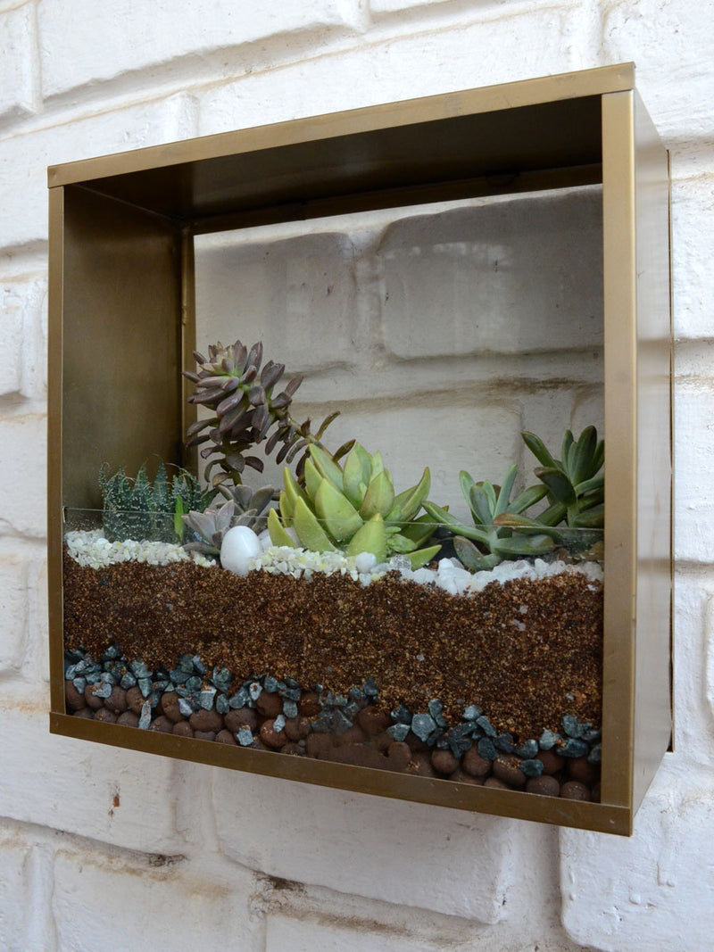 Square Wall Terrarium