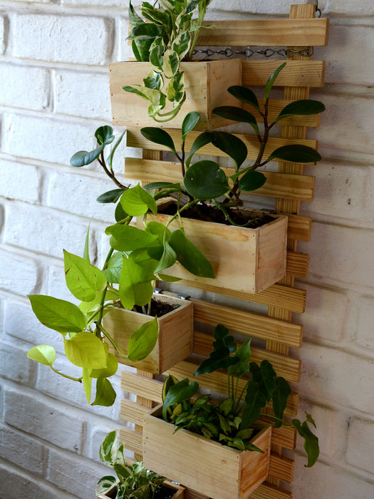 Wooden Vertical Box Garden