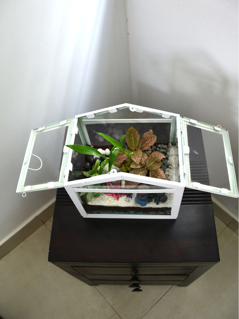 Mini Sun Room Terrarium