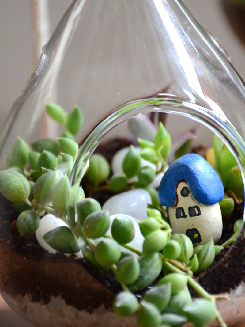Hanging Orb Terrarium (Pear)