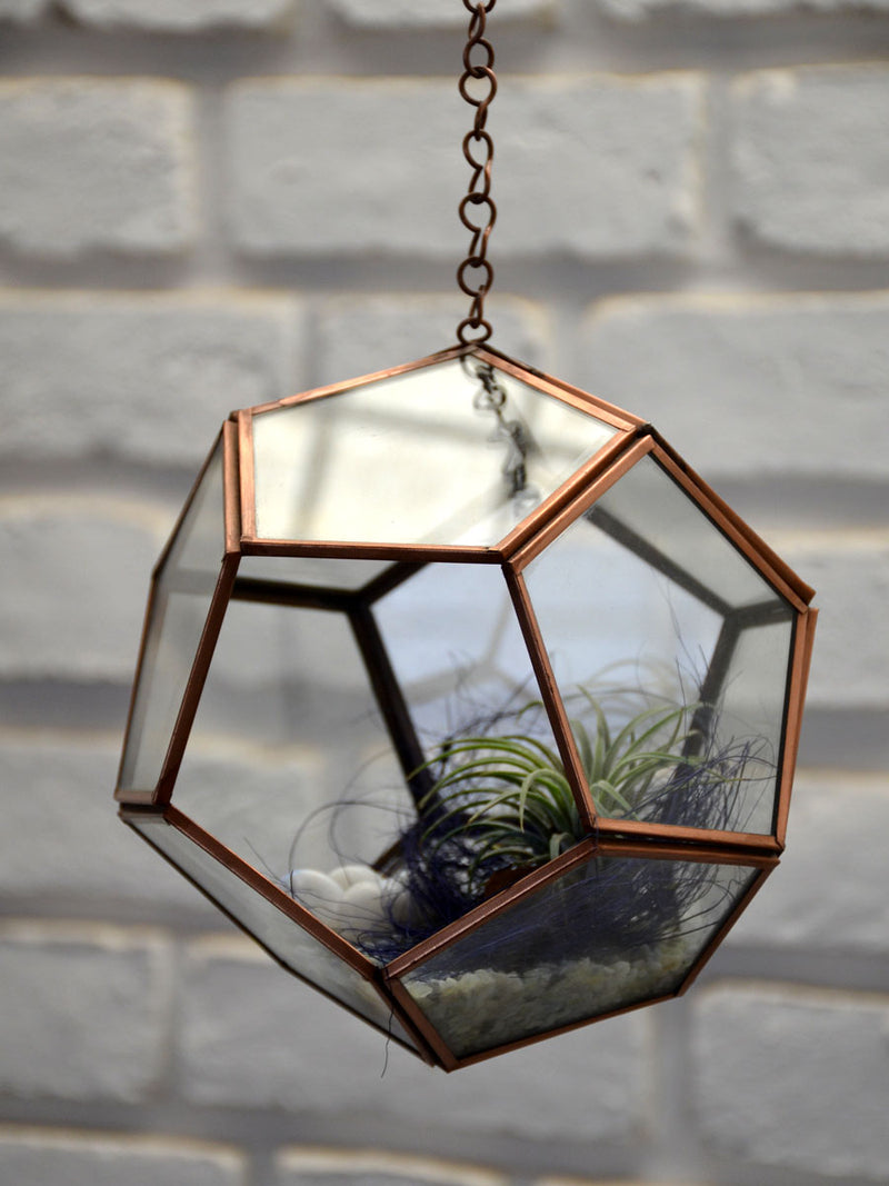 Hanging Pentagonal Air Terrarium
