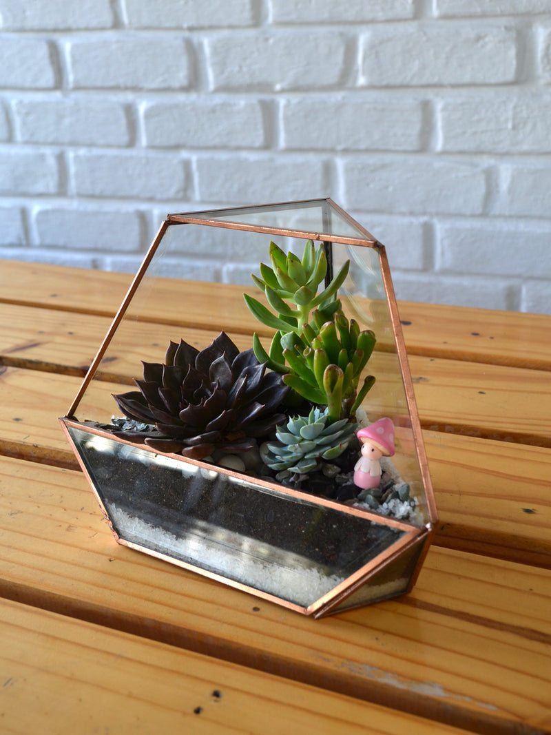 Superman Terrarium