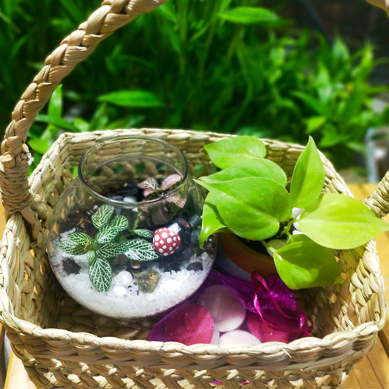 Earthy Deepawali Hamper