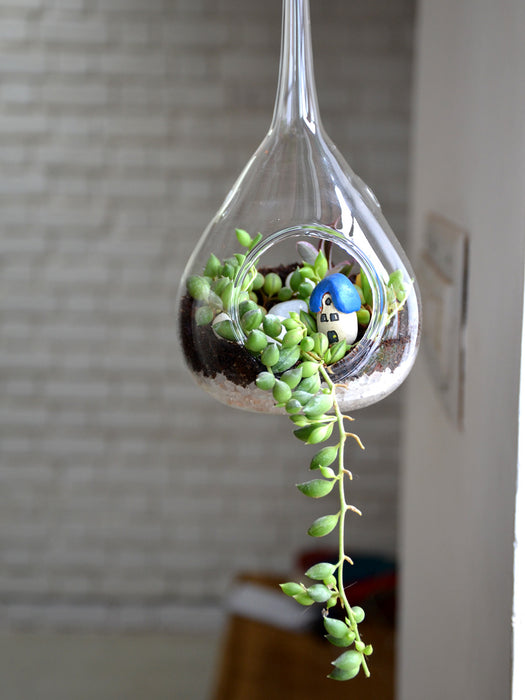 Hanging Orb Terrarium (Pear)