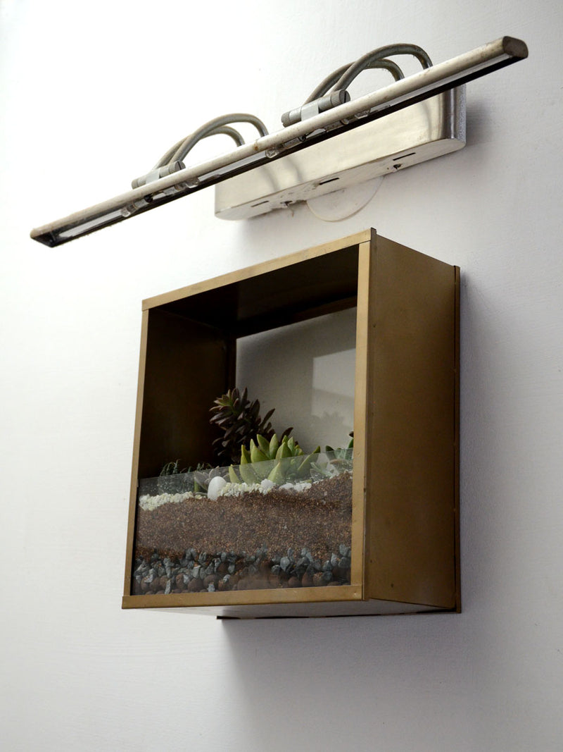 Square Wall Terrarium