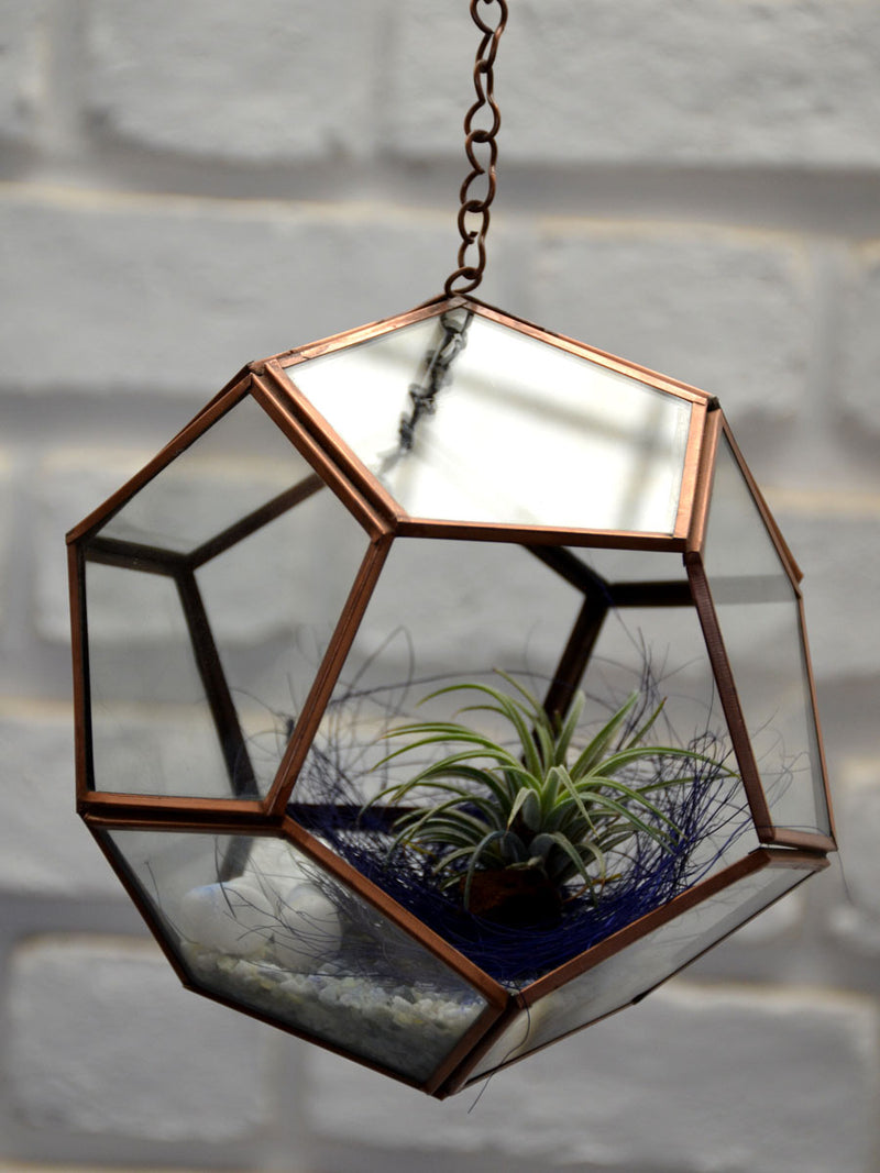 Hanging Pentagonal Air Terrarium