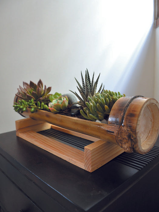 Bamboo Succulent Platter