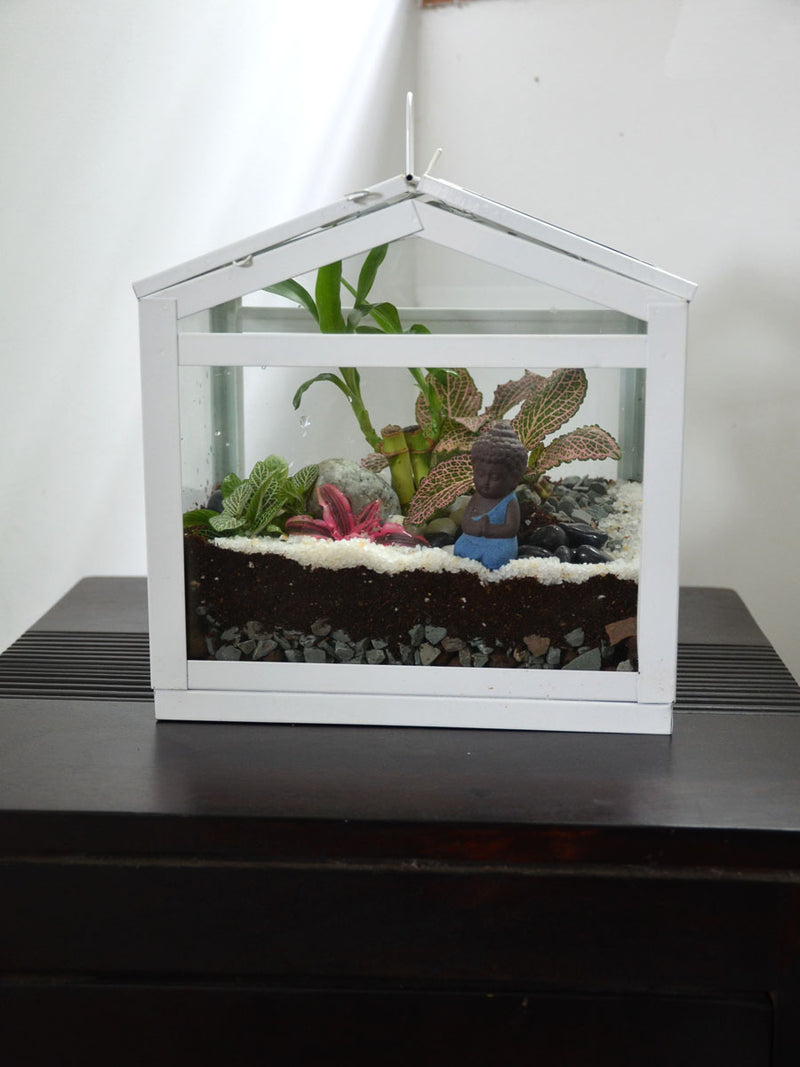 Mini Sun Room Terrarium