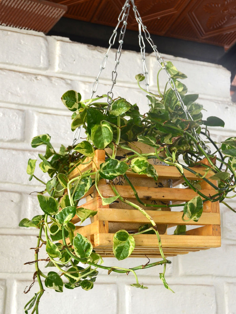 Wooden Hanging Basket