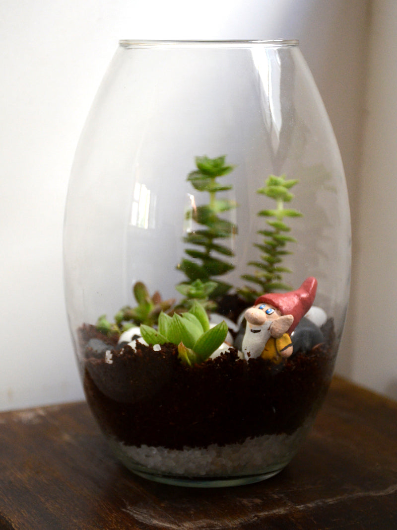 Oblong Terrarium