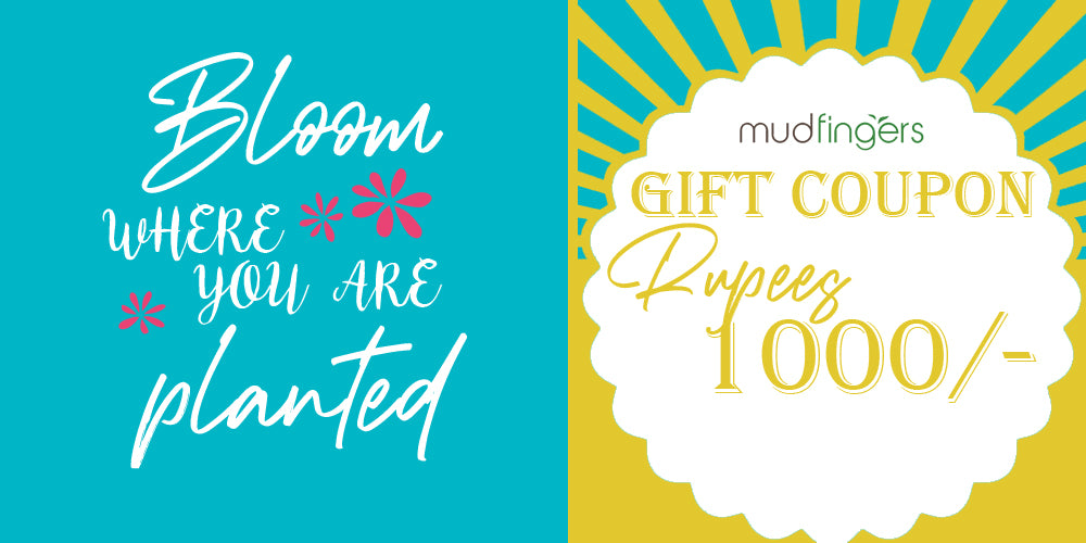 Mudfingers Gift Card - from 1000