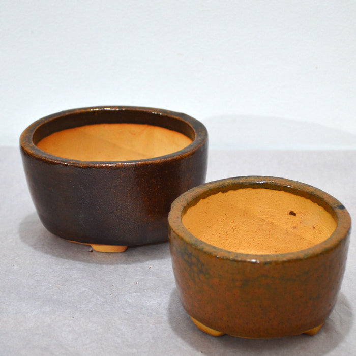 Oval Brown Bonsai Pots (Set of 2)