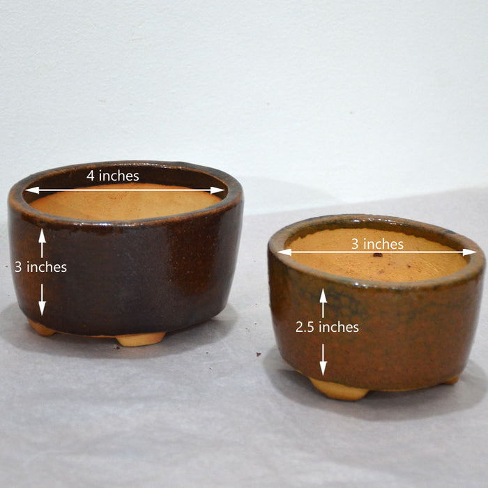 Oval Brown Bonsai Pots (Set of 2)