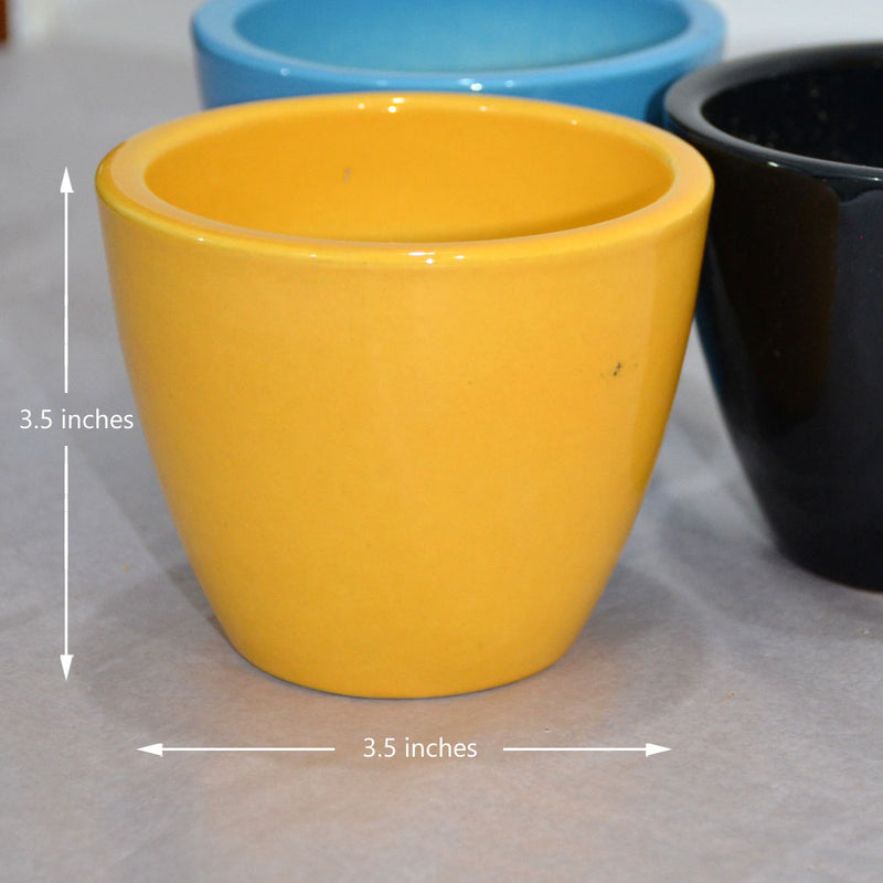V-Shaped Assorted Ceramic Pots (Set of 3)
