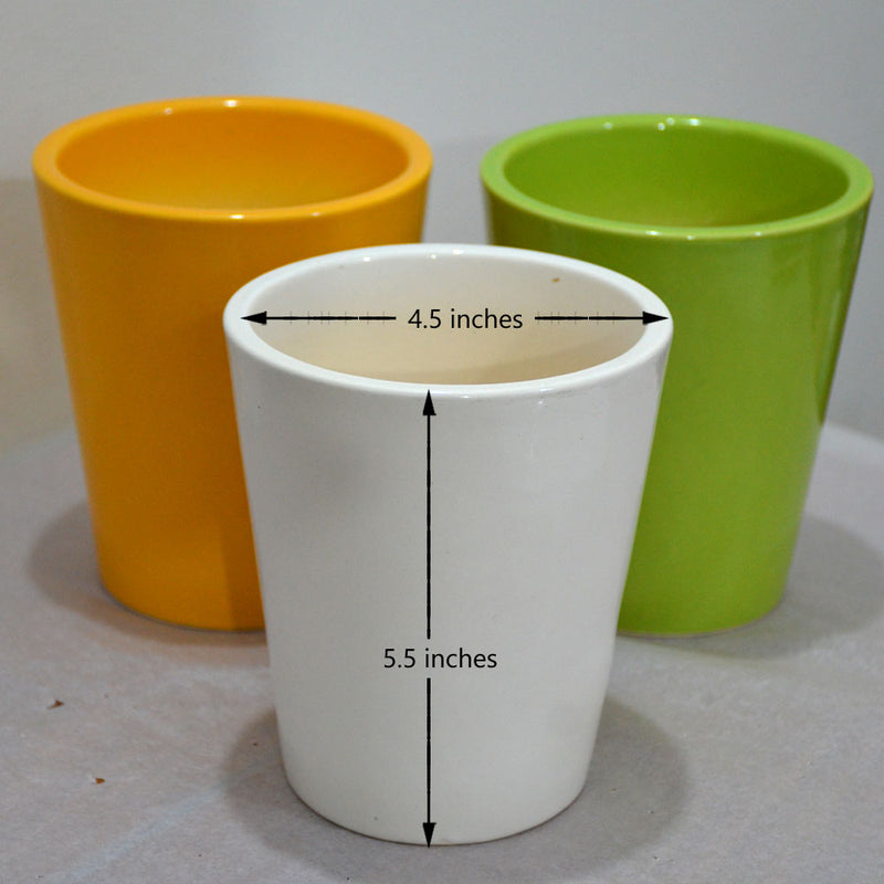 Ceramic Pots (Set of 3)