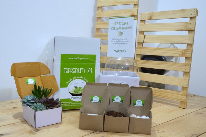 Do-it-Yourself - DIY-  Terrarium Kit (8 Inches)