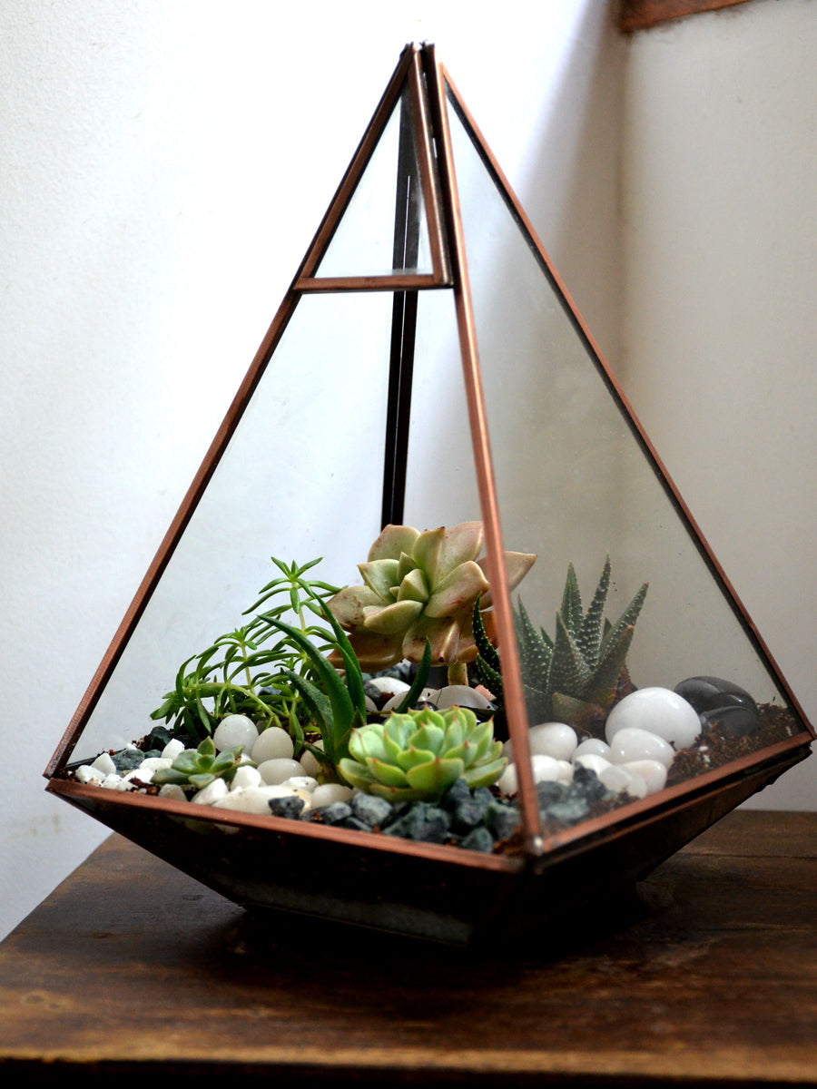 Hanging Terrariums