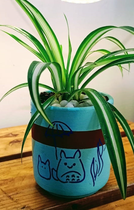 spider plant in terracotta Happy Totoro : Chlorophytum (Spider plant) in hand painted Terracotta — Mudfingers