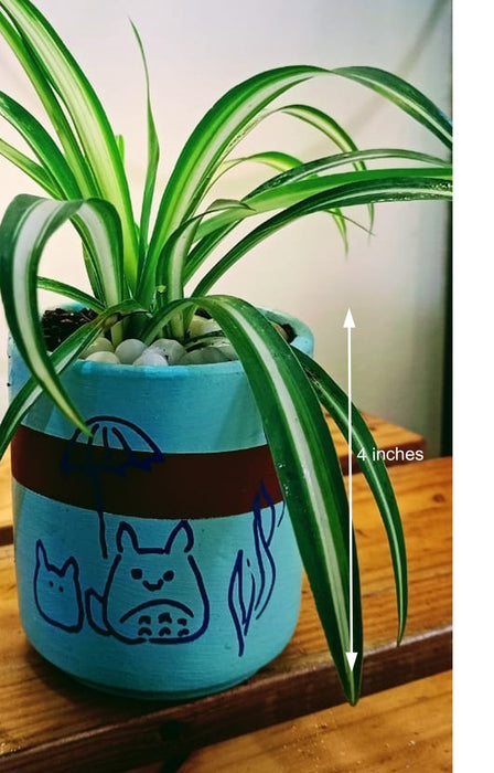 Happy Totoro : Chlorophytum (Spider plant) in hand painted Terracotta Pot