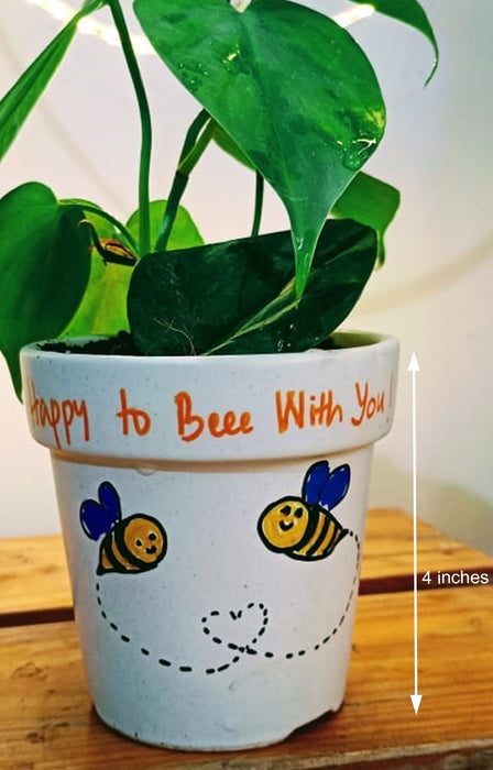 bees in plant pot Bee with you: Money plant in Ceramic Pot with a hand written message — Mudfingers
