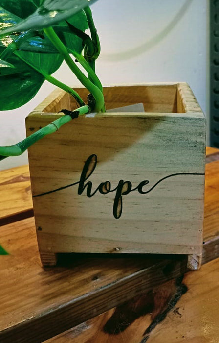 Hope: Money Plant in an engraved wooden planter box