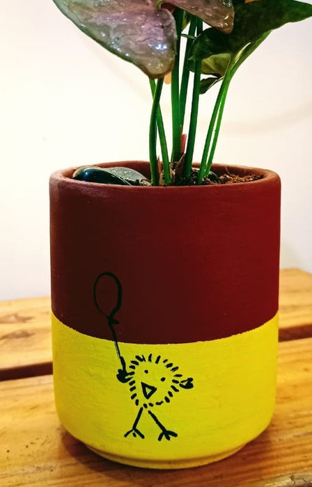 Happy Chick : Syngonium Blush (Arrow head miniature) in hand painted Terracotta Pot