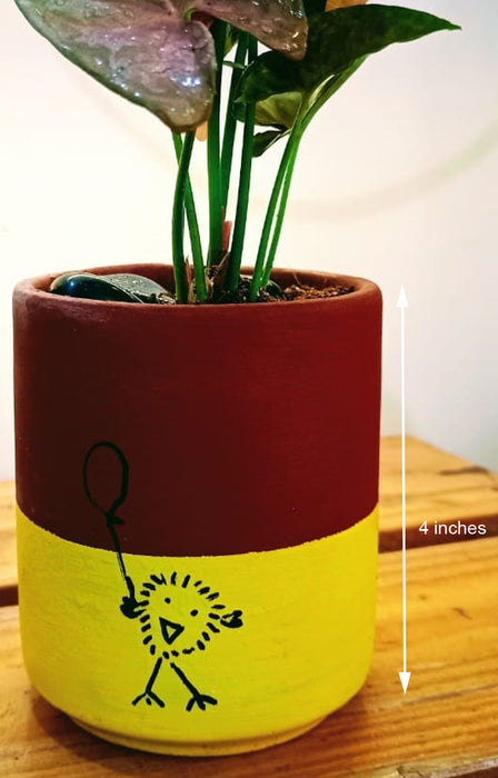 Happy Chick : Syngonium Blush (Arrow head miniature) in hand painted Terracotta Pot