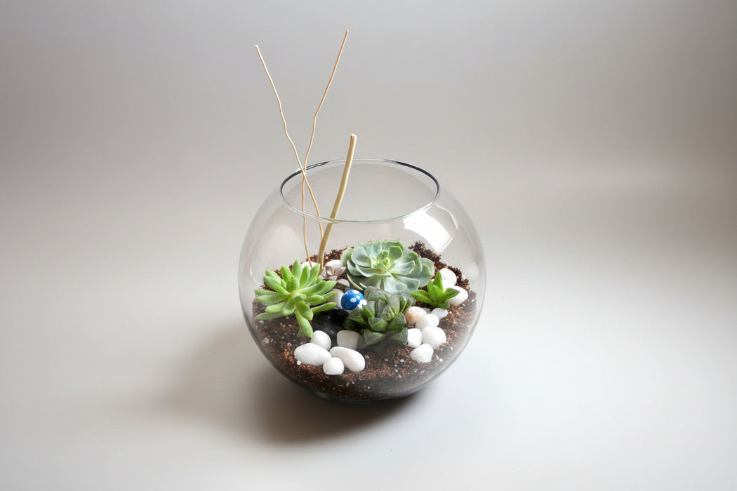 A spherical succulent terrarium with various small green plants, white pebbles, and a visible glass container placed on a wooden surface.