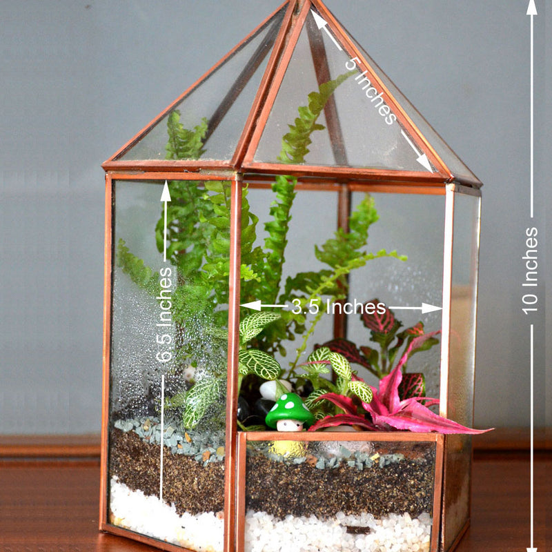 Glass House Terrarium Bowl