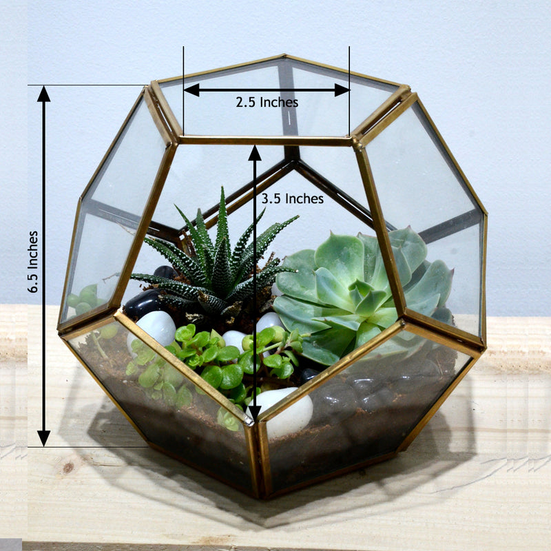 Pentagonal Terrarium Glass Bowl
