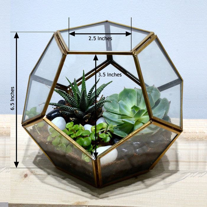 Pentagonal Terrarium Glass Bowl