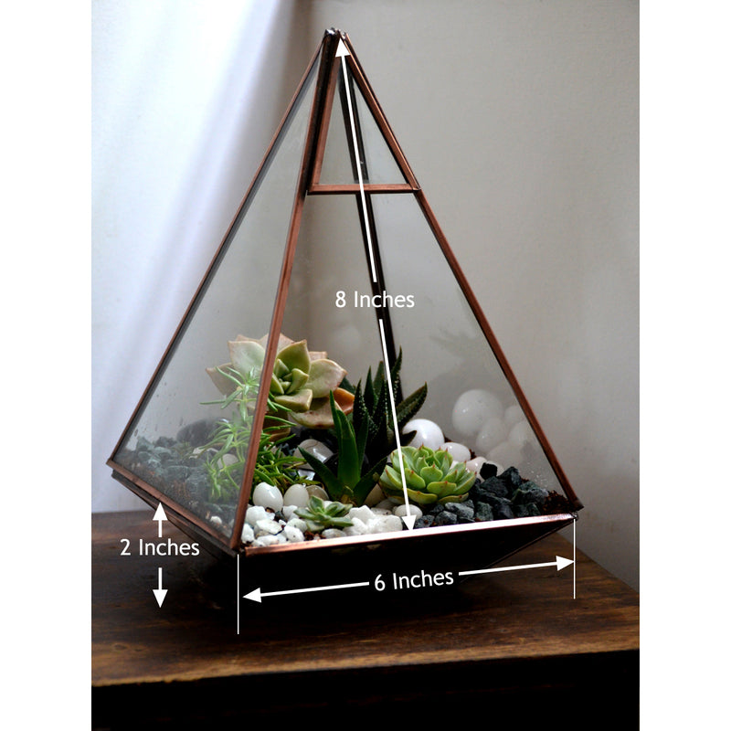 Pyramid Terrarium Glass Bowl