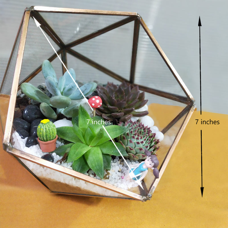 Inclined Triangular Terrarium Glass Bowl