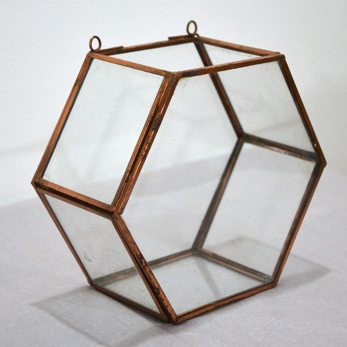 Hexagonal Wall Terrarium Glass Bowl