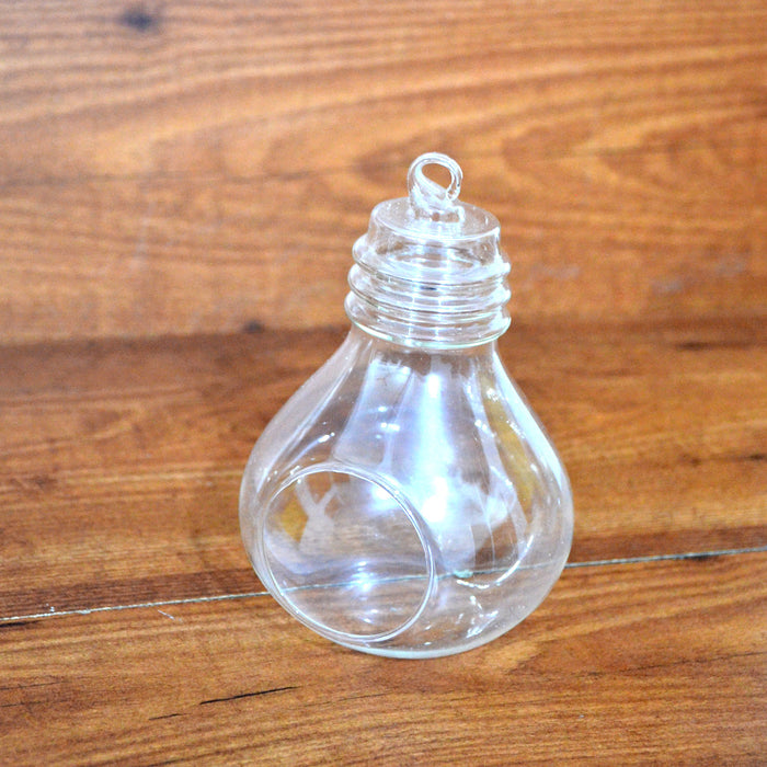 Bulb Shaped Terrarium Glass Bowl