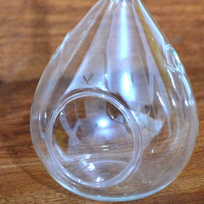 Pear Shape Terrarium Glass Bowl