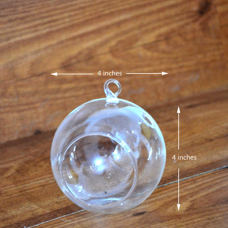 Hanging Terrarium Round Glass Bowl
