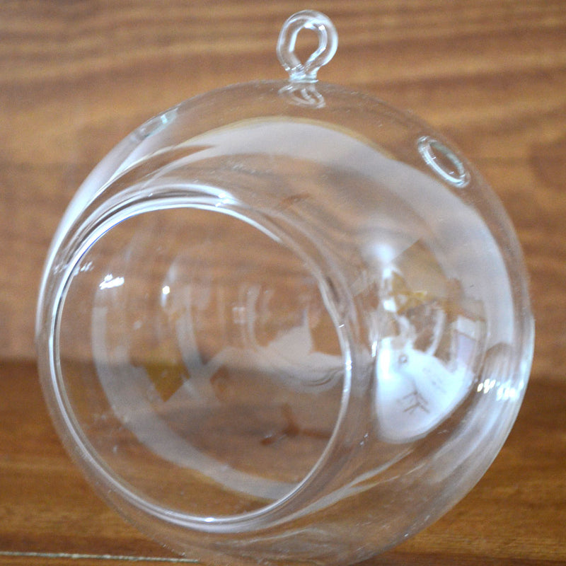 Hanging Terrarium Round Glass Bowl