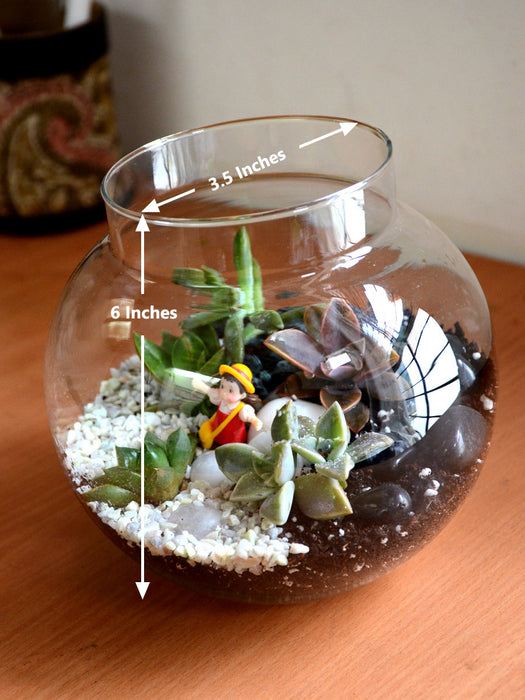 Round Terrarium Glass Bowl (With Neck)