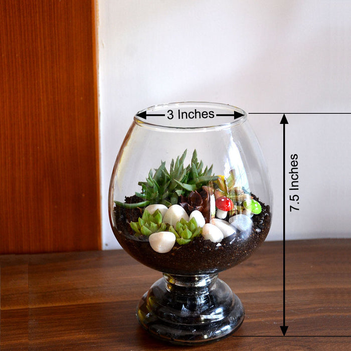 Wine Goblet Terrarium Glass Bowl