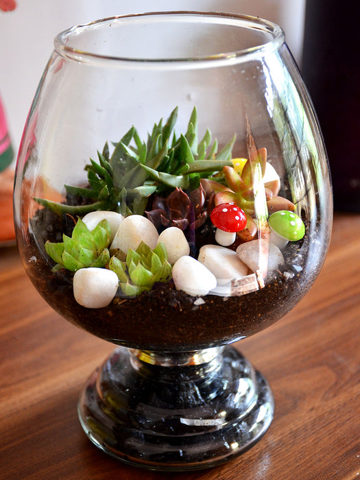 succulent wine glass Wine Goblet Terrarium (8 Inches) — Mudfingers