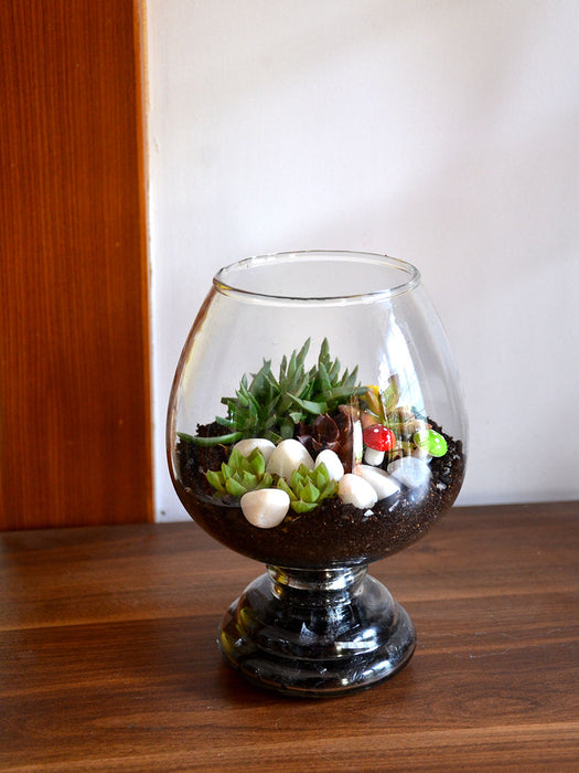 Wine Goblet Terrarium (8 Inches)