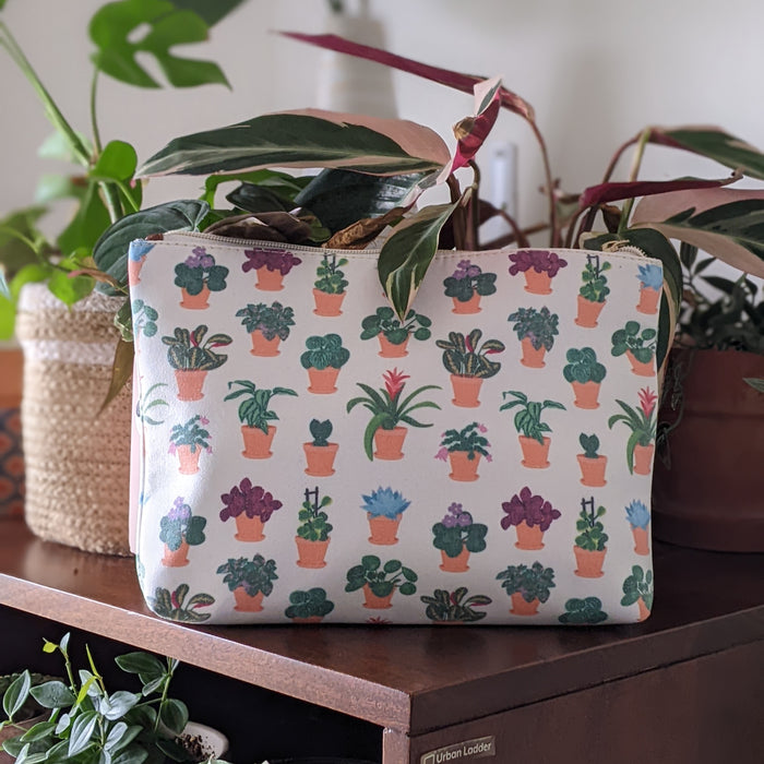Assorted House Plants Pouch